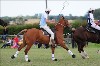 UKPA NC SAT_2888